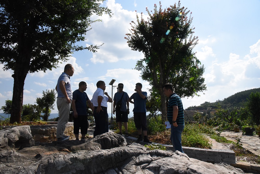 Z6尊龙·中国官方网站